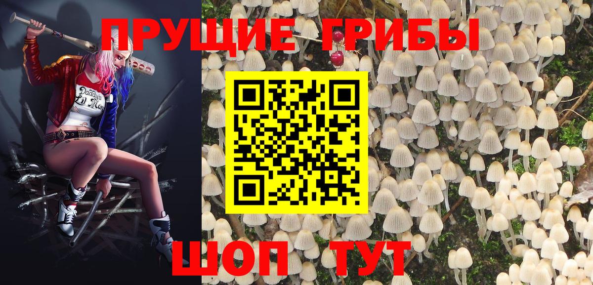 Галлюциногенные грибы мицелий  Вход с VPN  Псилоцибиновые грибы Psilocybine cubensis  Губкин 