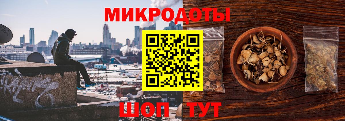 Галлюциногенные грибы прущие грибы Губкин